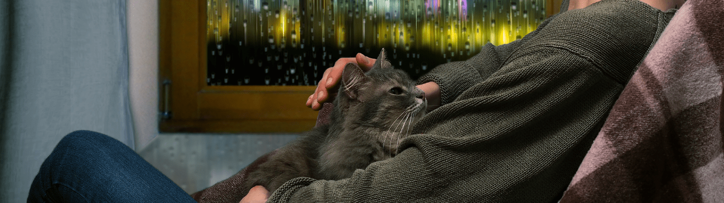 /-/media/2/vca-canada/images/global-images/1440x405_vcac_payments_feline.png?rev=7d8e3a275ee543419bdb237eaa7df440