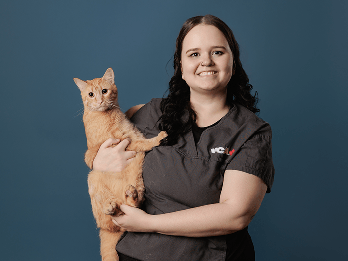 Care Team