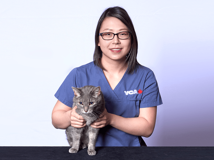 Dr Kong