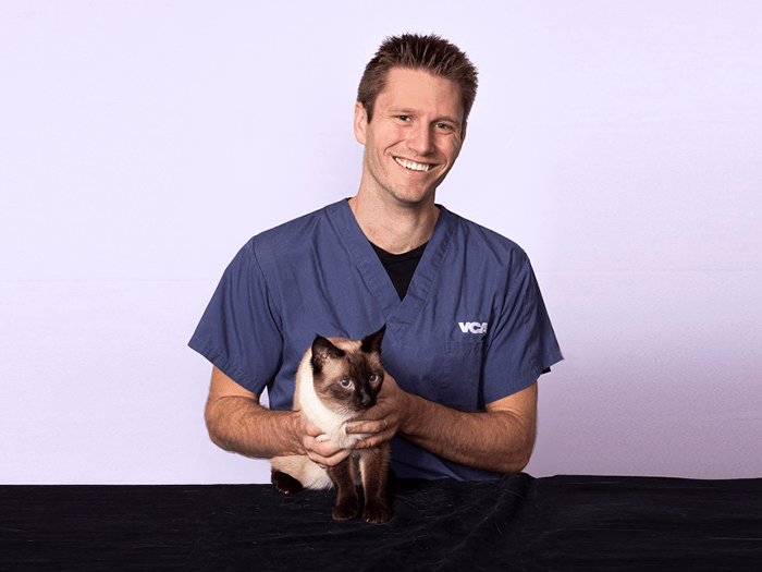 Western Veterinary Specialist & Emergency Centre Team