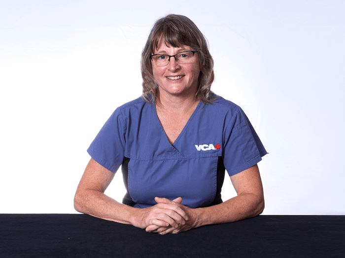 Western Veterinary Specialist & Emergency Centre Team