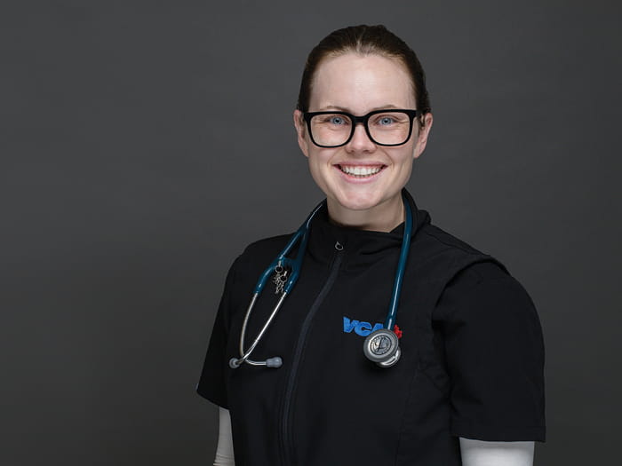 Dr Gorges