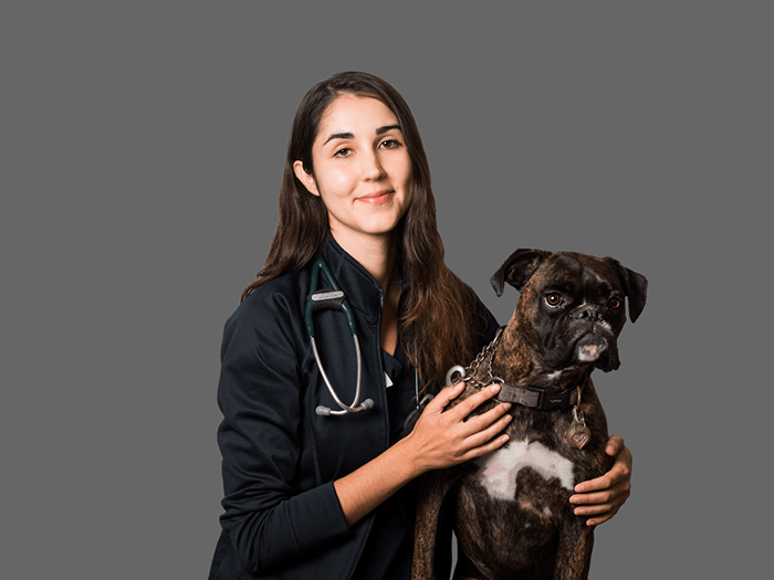 Dr Milkova