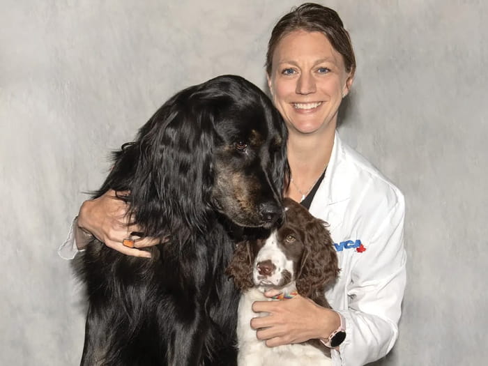 Dr Wintermute