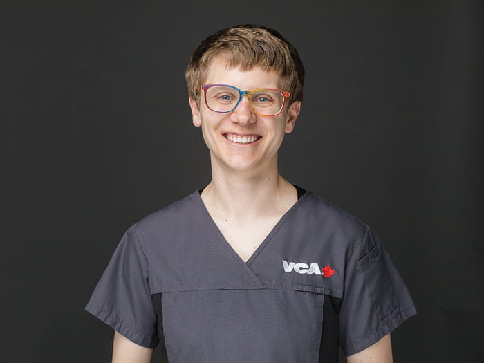 Dr AJ