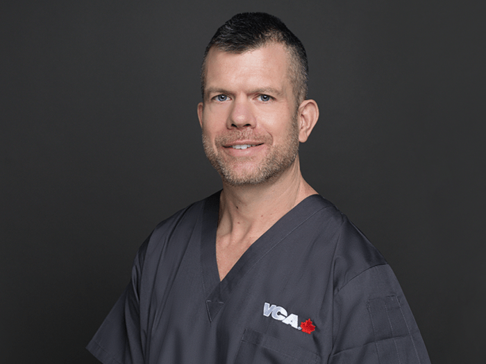 Dr Cotter