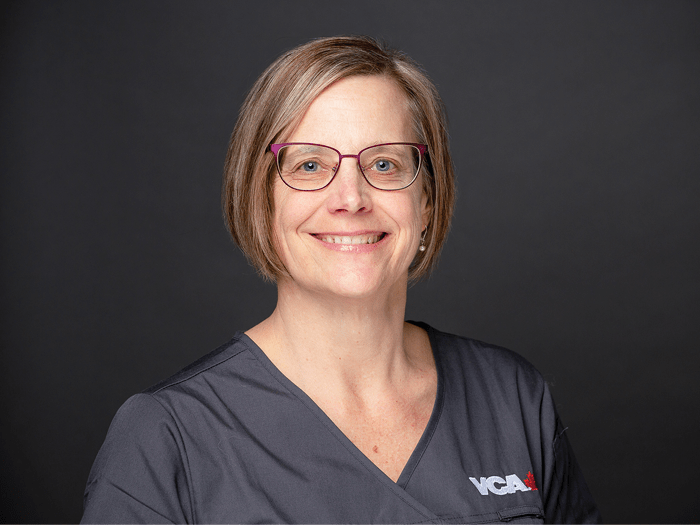 Dr. Ford