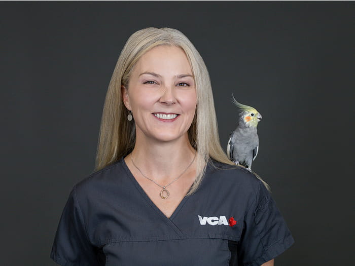 Dr Shankel