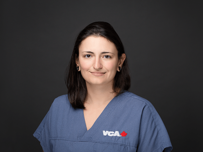 RVT Anita
