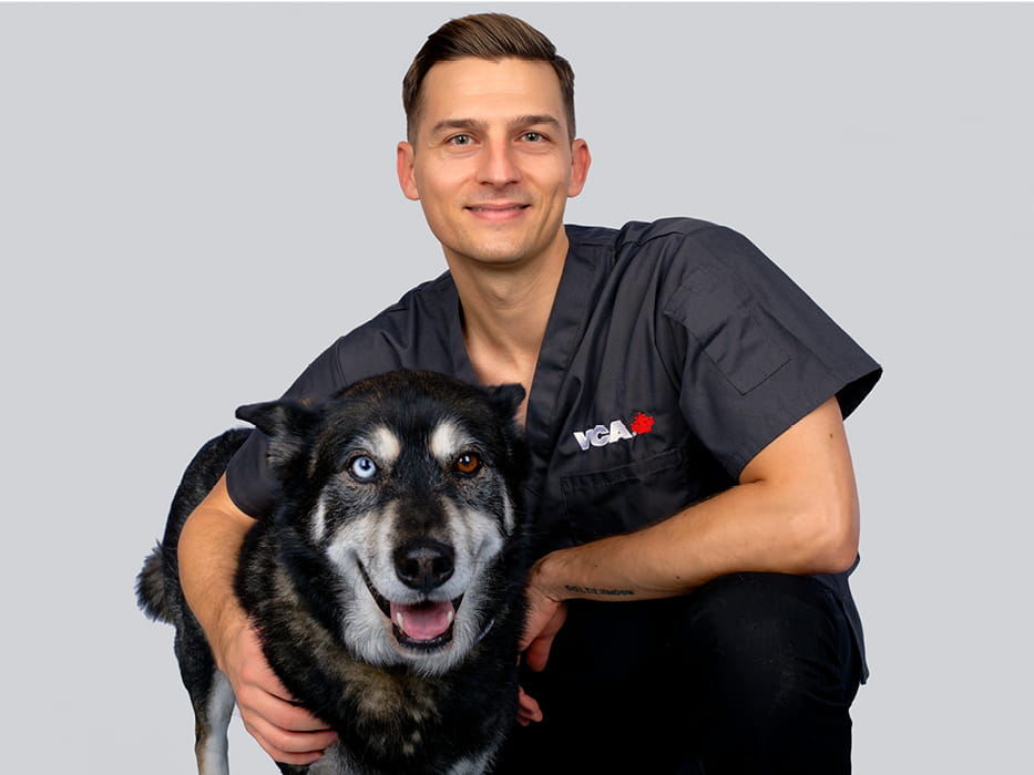 Dr Piana