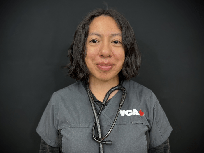 Dr Gonzalez