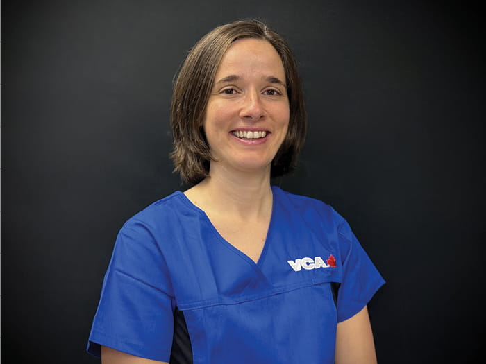 Dr Popovic