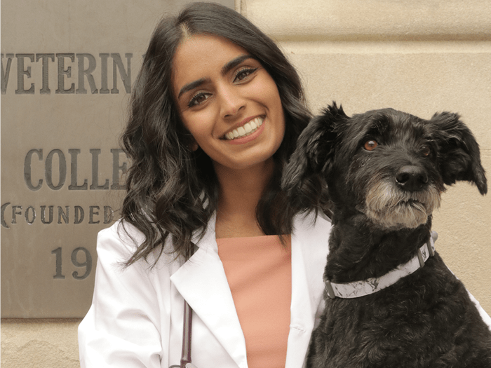 Dr Silveira
