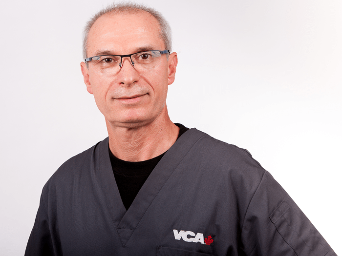 Dr. Boyaninsky