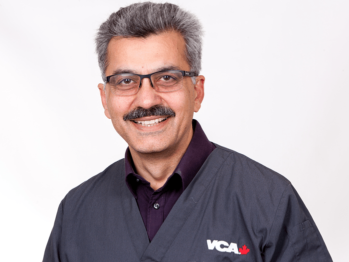 Dr. Rahman