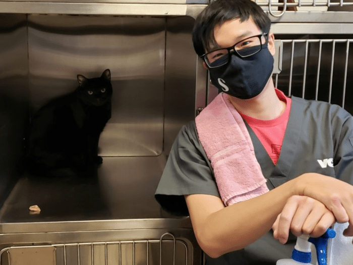 Kennel Assistant