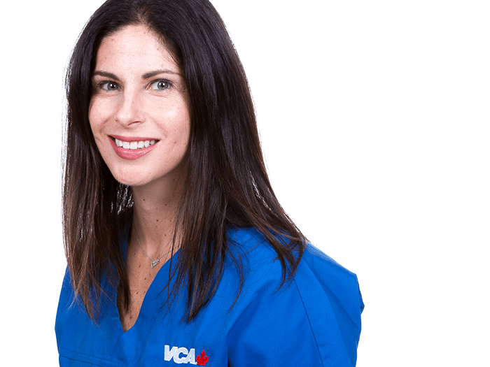 Dr. Burstein