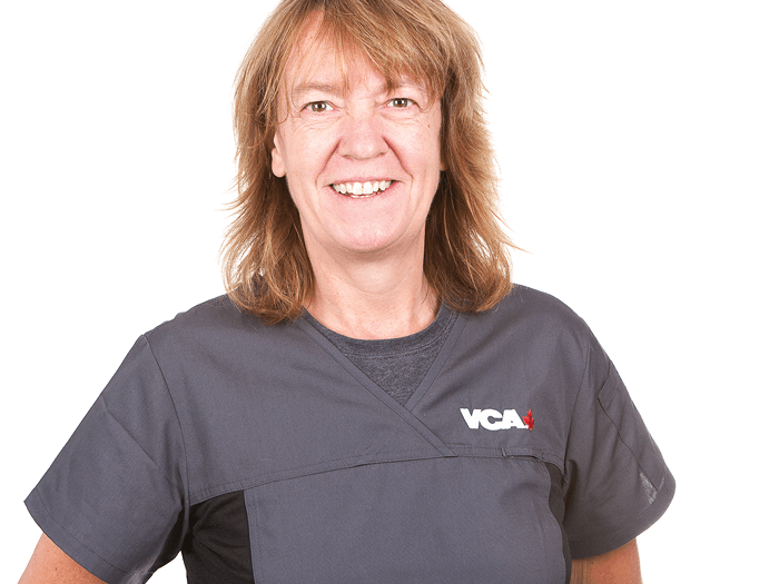 Dr. McMullen