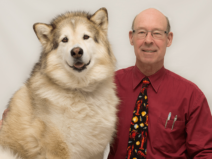 Dr Gibbs