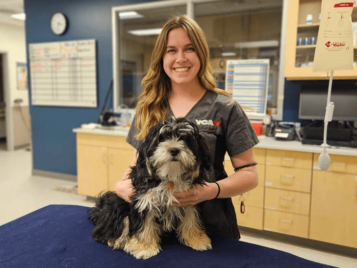 Frontier Vet