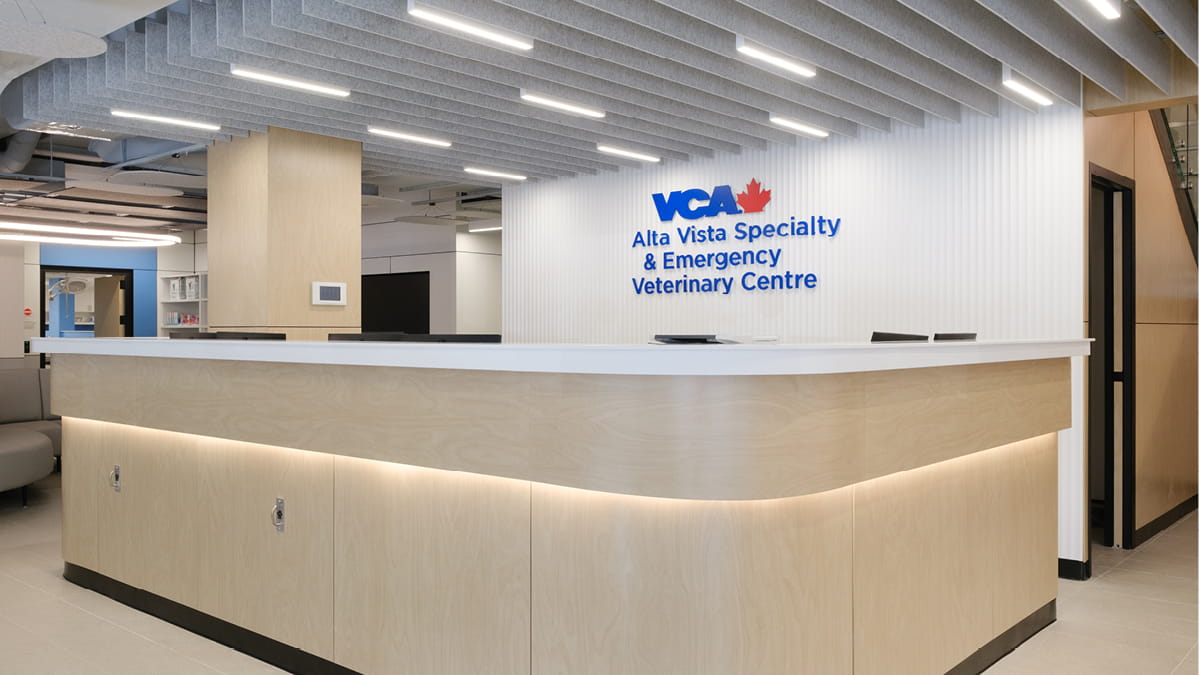 Alta Vista Specialty & Emergency Veterinary Centre