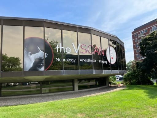 Veterinary Specialty Clinic for Anesthesia and Neurology
