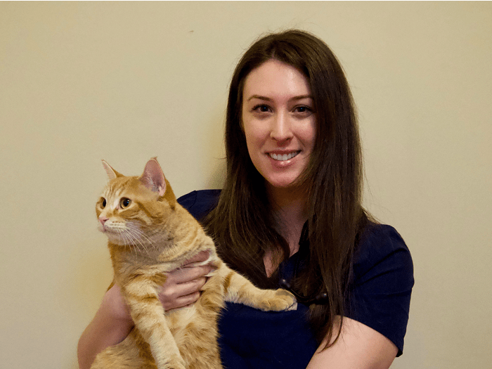 Staff Image