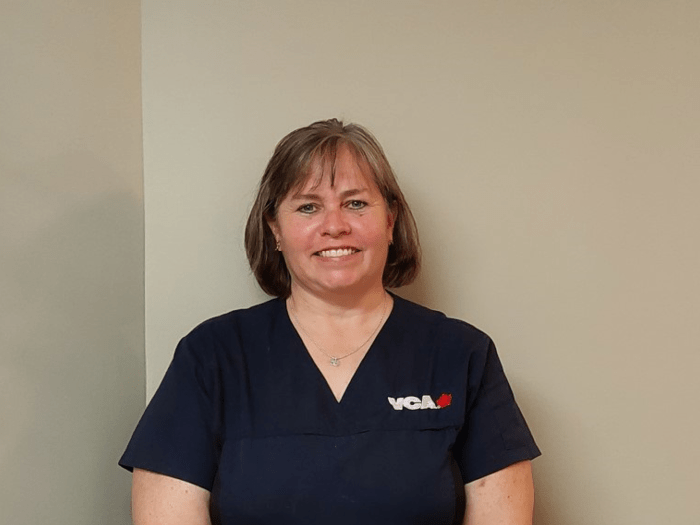 Staff Image