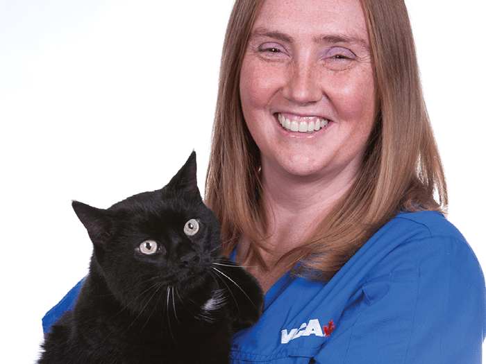 Staff Image