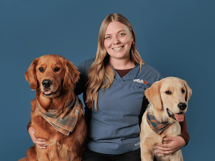 Staff Image