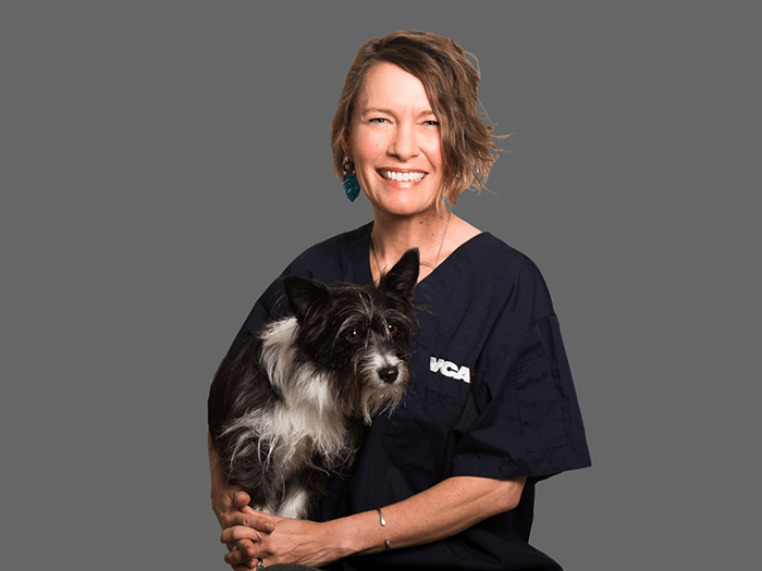 Staff Image
