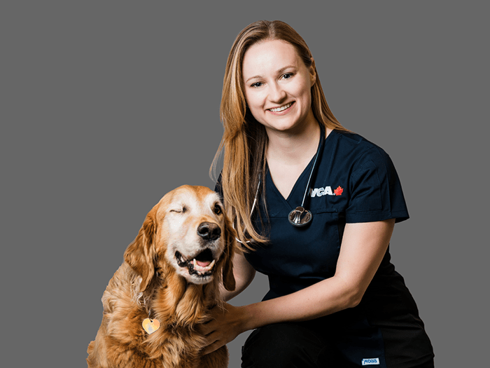 Staff Image