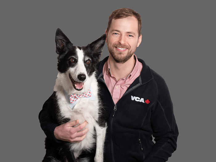 Staff Image