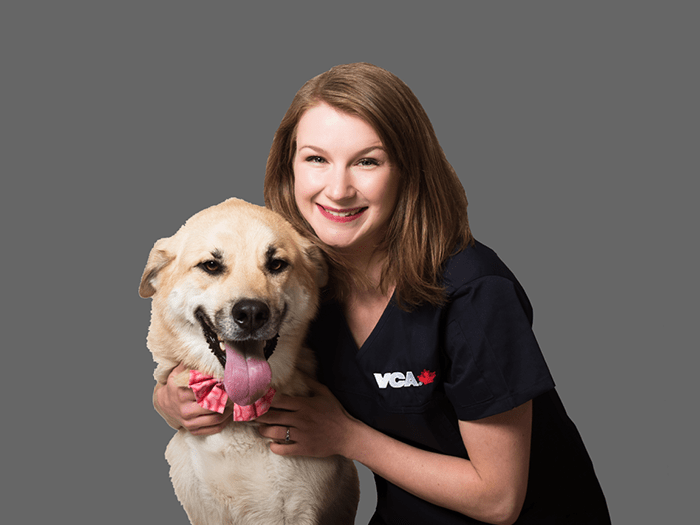 Staff Image