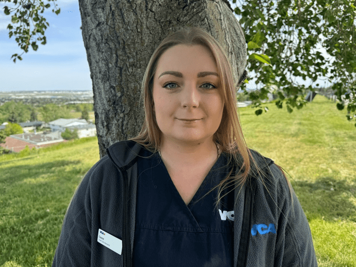Staff Image