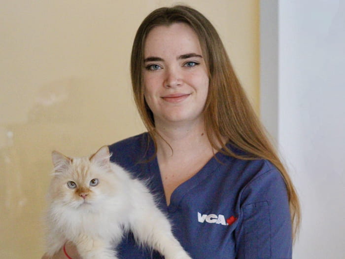 Staff Image