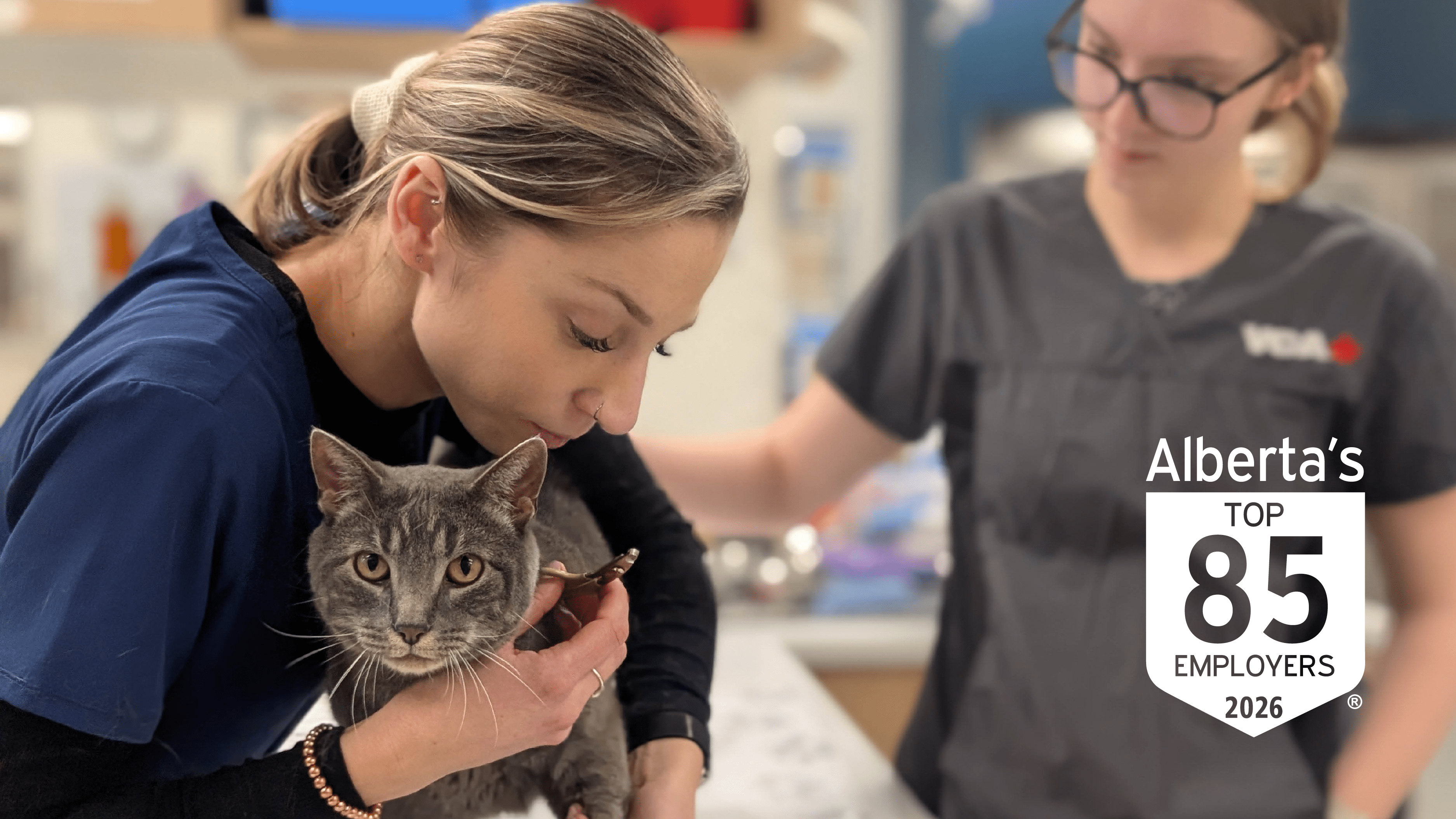 VCA Canada Recognized as one of Alberta&rsquo;s Top Employers for 2026