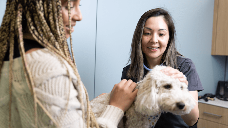 VCA Canada Recognized as One of Alberta&rsquo;s Top 85 Employers for 2025