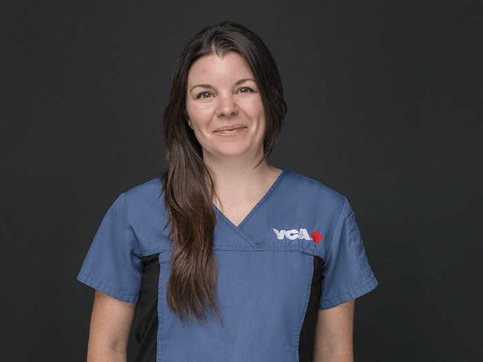 Staff Image