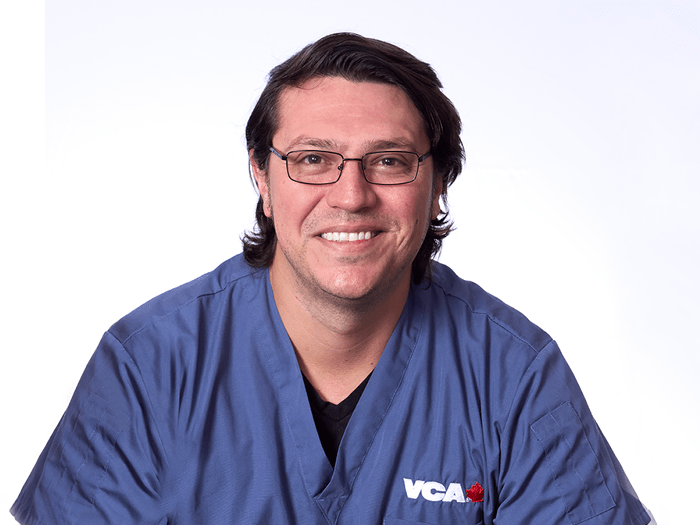 Staff Image