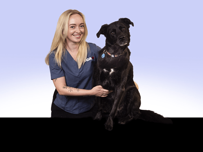 Staff Image