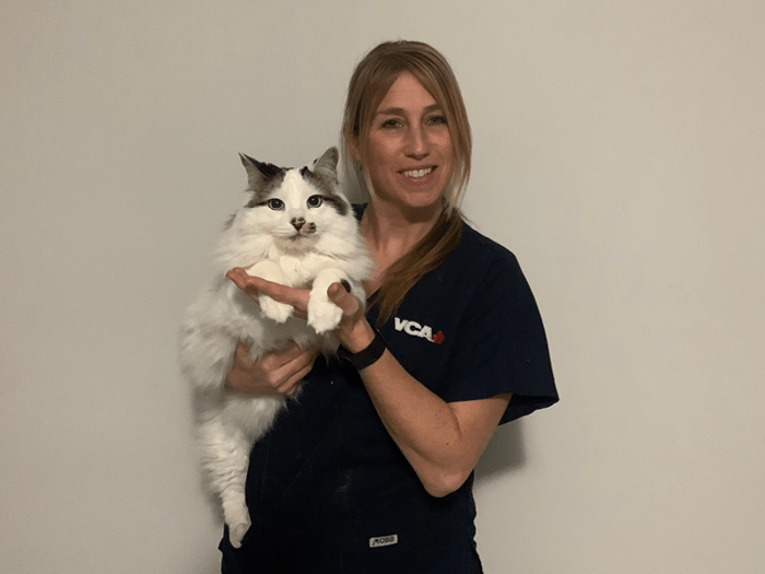 Staff Image